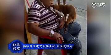 A sleeping man was kissed by a pet dog. Th