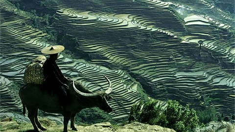 A cultural private tour that is too advanced