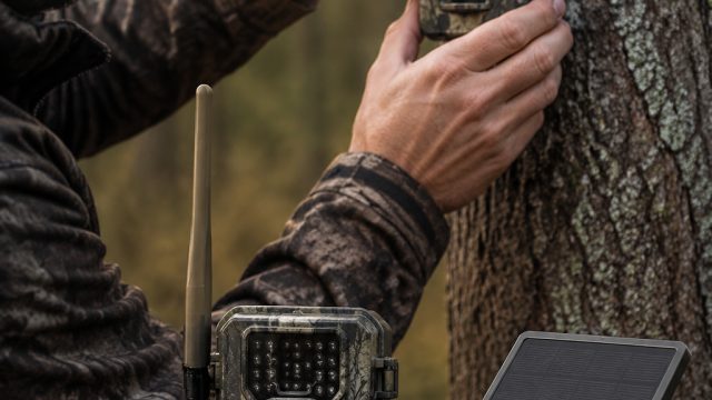 Affordable Cellular Trail Cameras: Top Picks Under $50 | link alternatif liga365 id, shio sidney sia