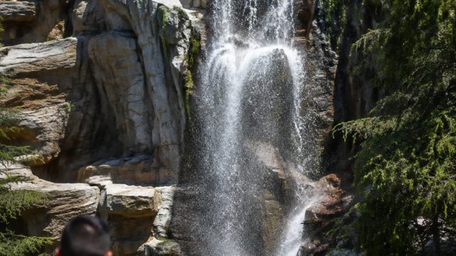 Tragic Fall at Disne