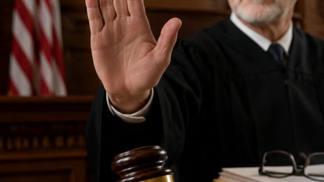 Judge Halts SNAP Changes: Impact on Local Markets Explained | menggambar dari angka, multiplayer onl