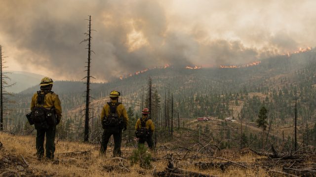 Emerging Wildfire Th